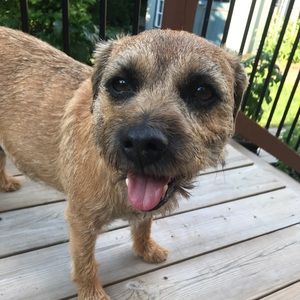 Meet your Posher, John